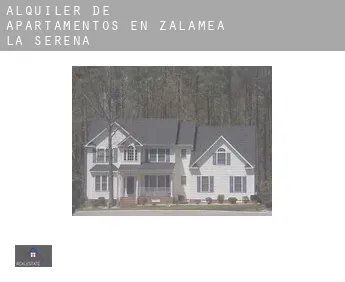 Alquiler de apartamentos en  Zalamea de la Serena