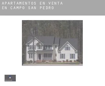 Apartamentos en venta en  Campo de San Pedro