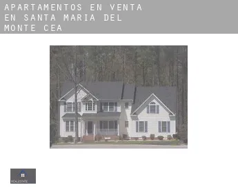Apartamentos en venta en  Santa María del Monte de Cea