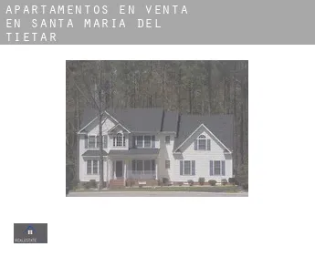 Apartamentos en venta en  Santa María del Tiétar