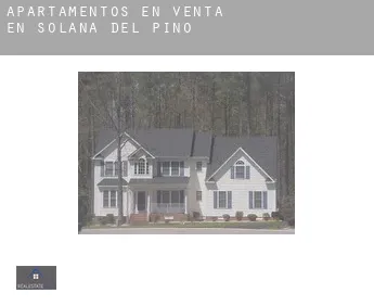 Apartamentos en venta en  Solana del Pino