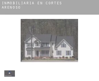 Inmobiliaria en  Cortes de Arenoso