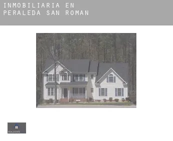 Inmobiliaria en  Peraleda de San Román