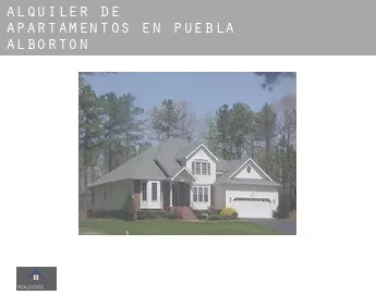 Alquiler de apartamentos en  Puebla de Albortón