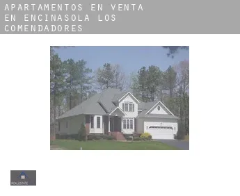 Apartamentos en venta en  Encinasola de los Comendadores