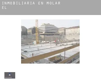Inmobiliaria en Molar (El)