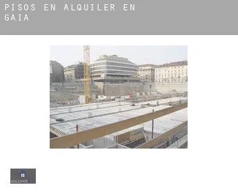 Pisos en alquiler en  Gaià