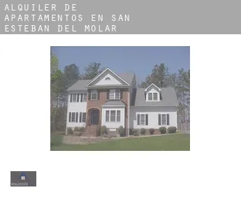 Alquiler de apartamentos en  San Esteban del Molar