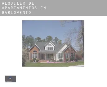 Alquiler de apartamentos en  Barlovento