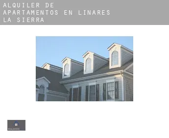 Alquiler de apartamentos en  Linares de la Sierra