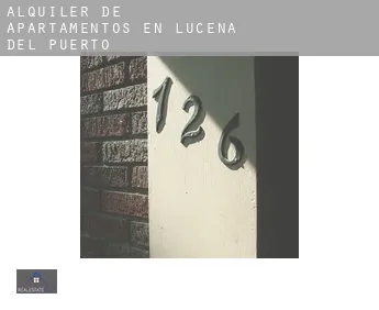 Alquiler de apartamentos en  Lucena del Puerto