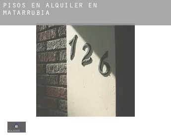 Pisos en alquiler en  Matarrubia