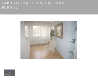 Inmobiliaria en Saldaña de Burgos